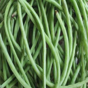Black Eyed Beans / चौला की फली