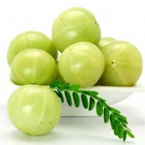 Indian Gooseberry / आंवला