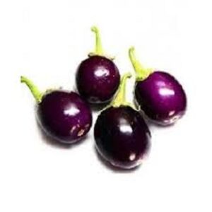 Brinjal / बैंगन