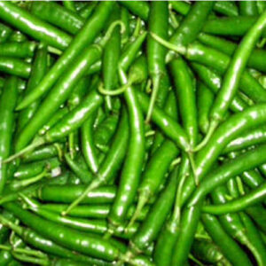 Green Chilli / हरी मिर्च
