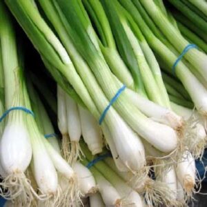 Green onion / हरा प्याज़