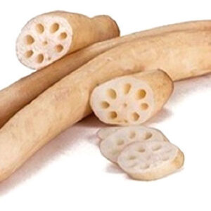 Lotus cucumber / lotus stem / कमल ककड़ी