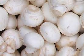 Mushroom / मशरूम