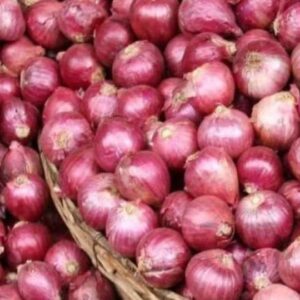 Onion / प्याज़