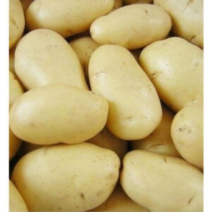 Potato / आलू
