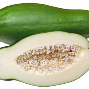 Raw Papaya / कच्चा पपीता