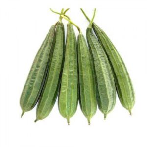 Ridge Gourd / तुरई / तोरी