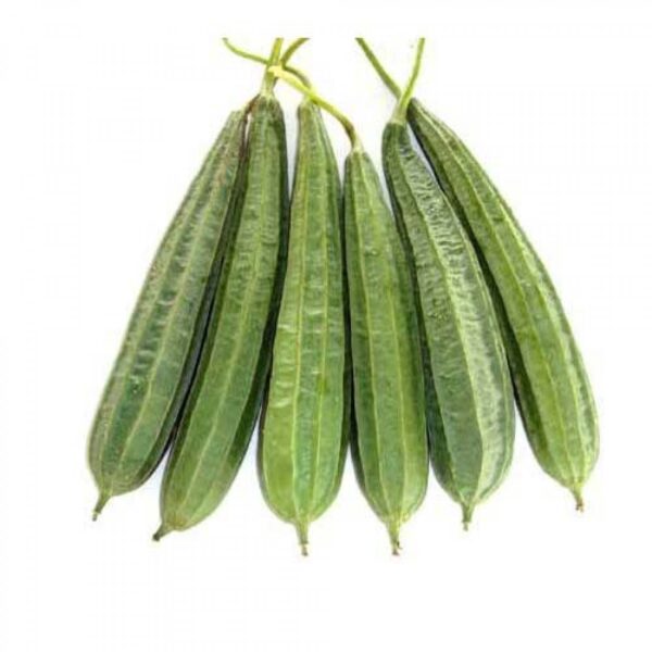 Ridge Gourd / तुरई / तोरी